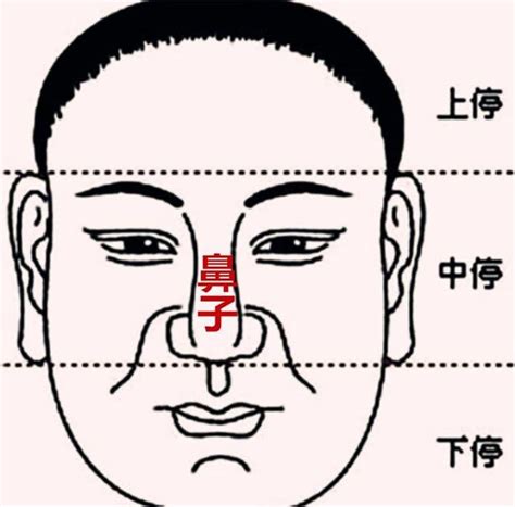 鼻樑 面相|「面相」鼻為面王，鼻子看你性格和財運！